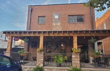 Mac Tabby Cat Cafe – Concord