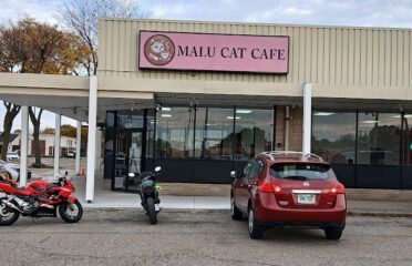 Malu Cat Cafe
