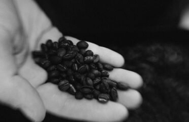 Meraki Roasting Co.