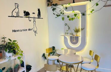 MiaoMiao Cafe