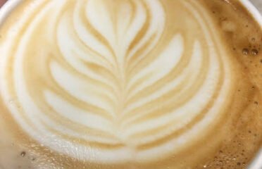 Moose Coffee