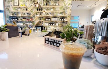 Mothership Coffee Roasters