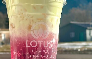 Mountain Grounds Coffee Company