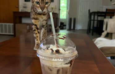 Mudslingers Drive-Thru Coffee