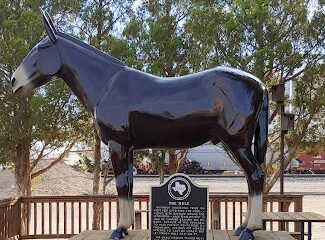 Muleshoe Coffee LLC