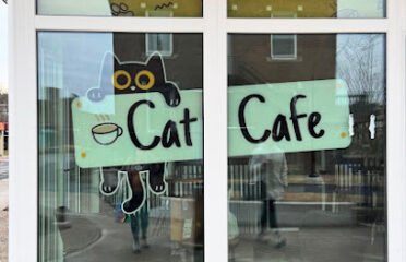 Perk and Paws Cat Cafe
