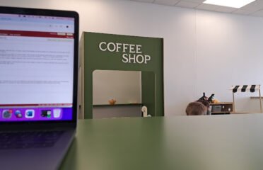 Playgroundz Play Cafe