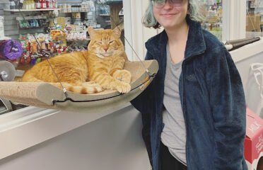 Purrfect Mugs Cat Cafe