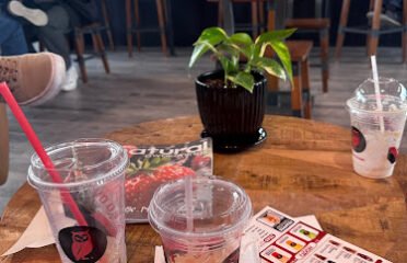 Red Owl Coffee Company