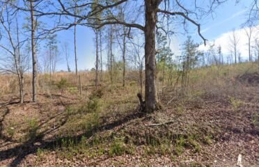 Revive Coffee & More