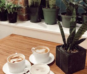 Rooted Plant + Coffee Shop