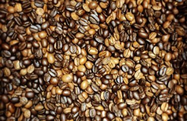 Sacred Grounds Coffee Roasters