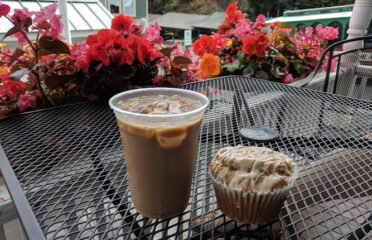 Salty Fox Coffee