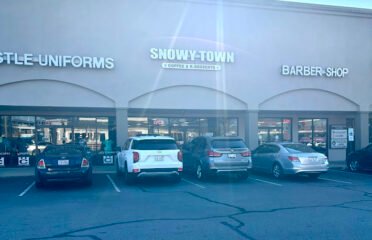 Snowy Town