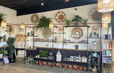 Soapweed Mercantile & Coffee Shop