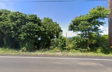 Solomon & Canaan’s Kona Coffee Organically Grown