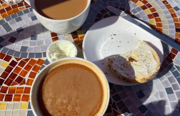 Sonny’s Coffee and Plants