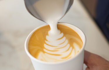 Sophia Coffee
