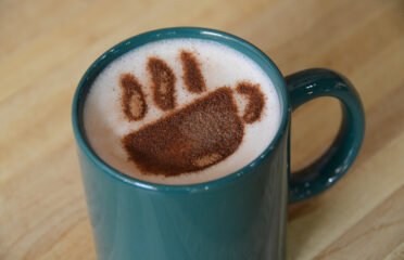 Sullivan Taylor Coffee House