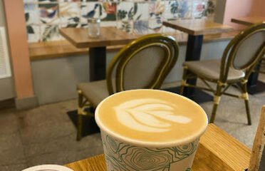 Summit Coffee Grove Arcade