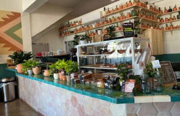 Super Domestic Coffee- Venice
