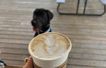 TJ’s Coffee and Bagels