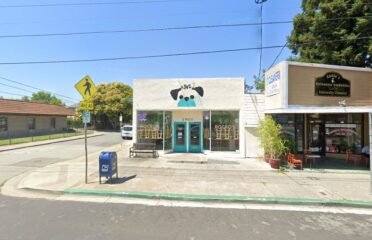 The Ace Coffee Place
