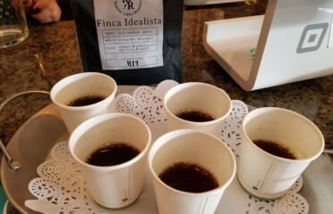 The Avondale Coffee Club by Reprise Roasters