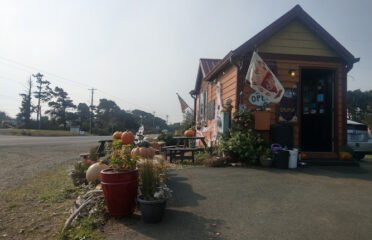 The Beachside Buzz