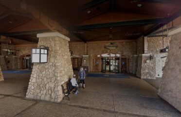 The Cocoa Bean Express