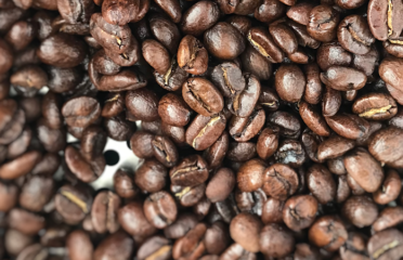 The Coffey Co Coffee Roaster