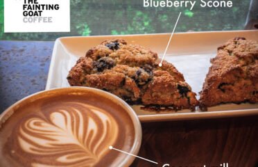 The Fainting Goat Coffee – Spring Hill