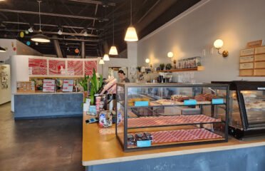 The Kookaburra Dondi