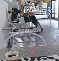 The Milk Bar at The Studio Experience