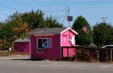 Think Pink Bikini Espresso