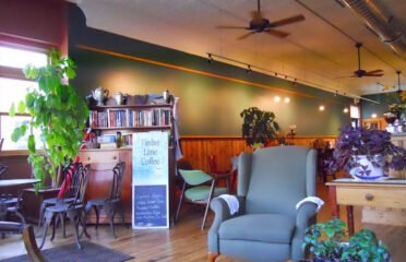 Timber Lane Coffee