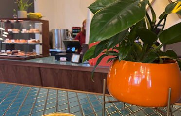 Voxx Coffee South Lake Union