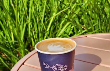Voyager Craft Coffee – Cupertino