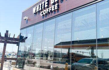 White Bison Coffee
