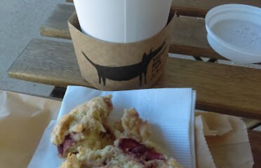 Yellow Dog Cafe
