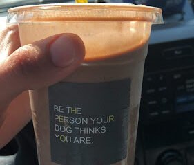 Yellow Dog Coffee Co.