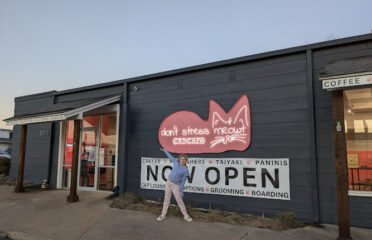 donÃ¢â‚¬â„¢t stress meowt – Cat Cafe