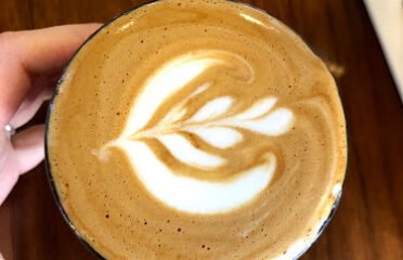 modcup coffee co.
