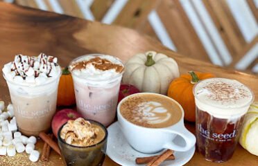 the seed. Coffee + Juice Bar